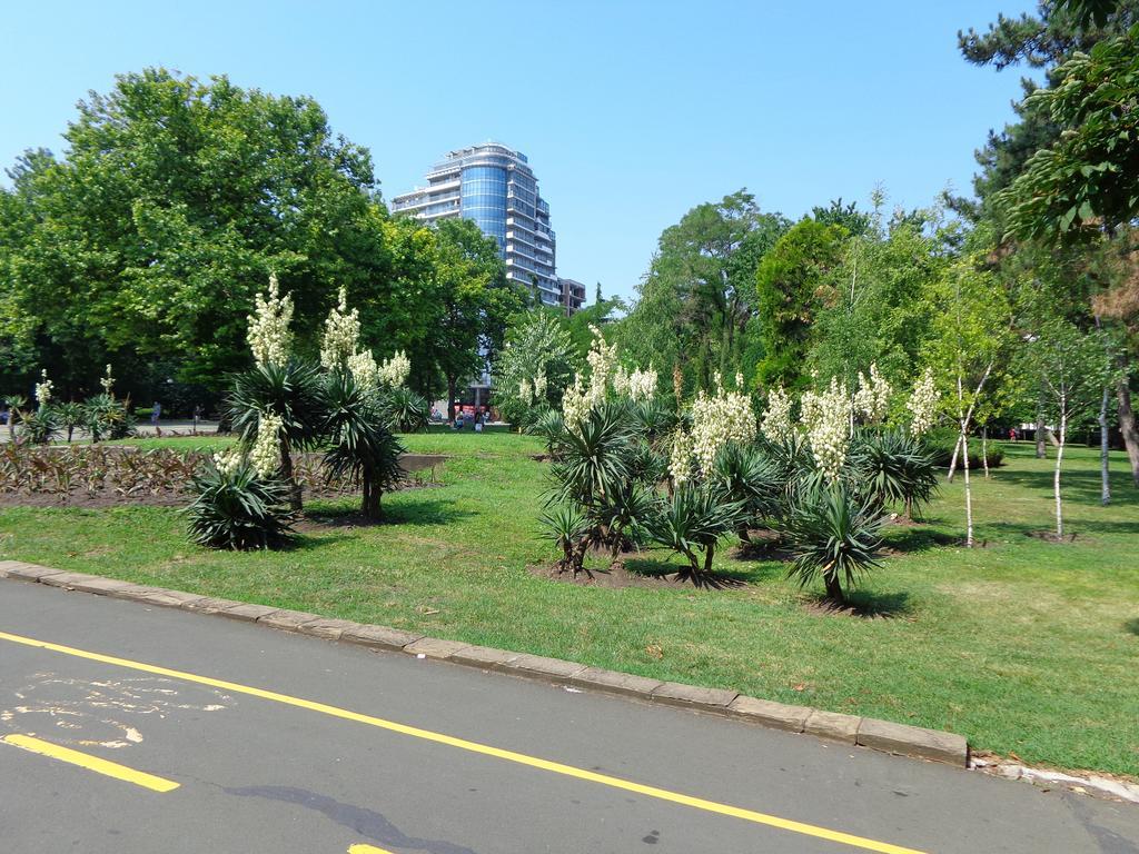 Zoya Apartment Burgaz Dış mekan fotoğraf
